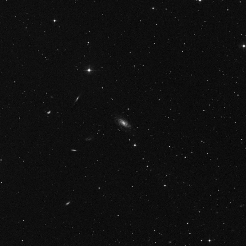 Image of NGC 2998 - Intermediate Spiral Galaxy in Ursa Major star