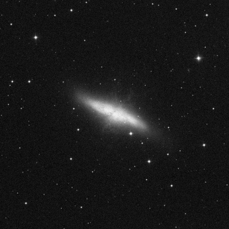 Image of Messier 82 (Cigar Galaxy) - Spiral (?) Galaxy in Ursa Major star