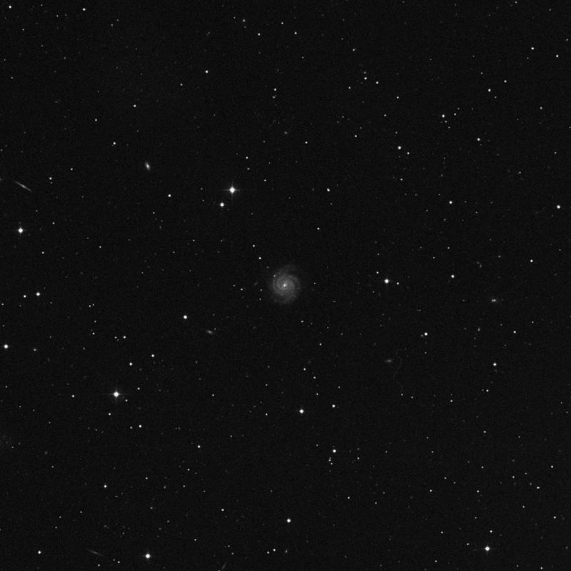 Image of NGC 3074 - Intermediate Spiral Galaxy in Leo Minor star