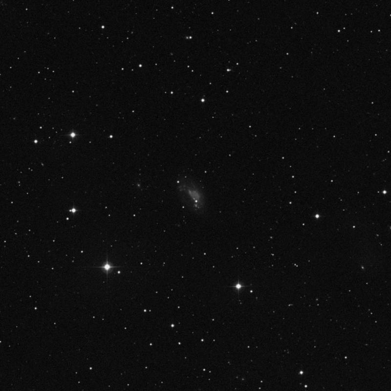 Image of NGC 3104 - Irregular Galaxy in Leo Minor star