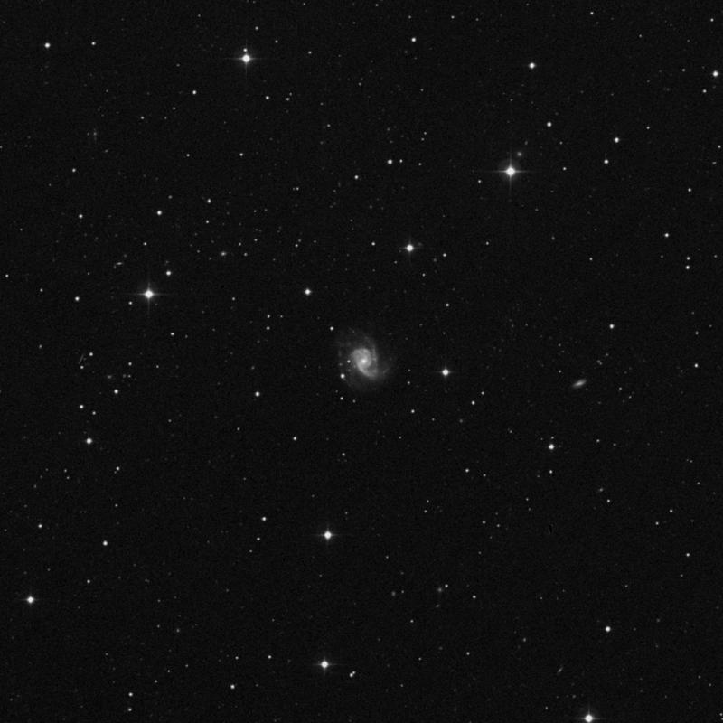 Image of NGC 3162 - Intermediate Spiral Galaxy in Leo star