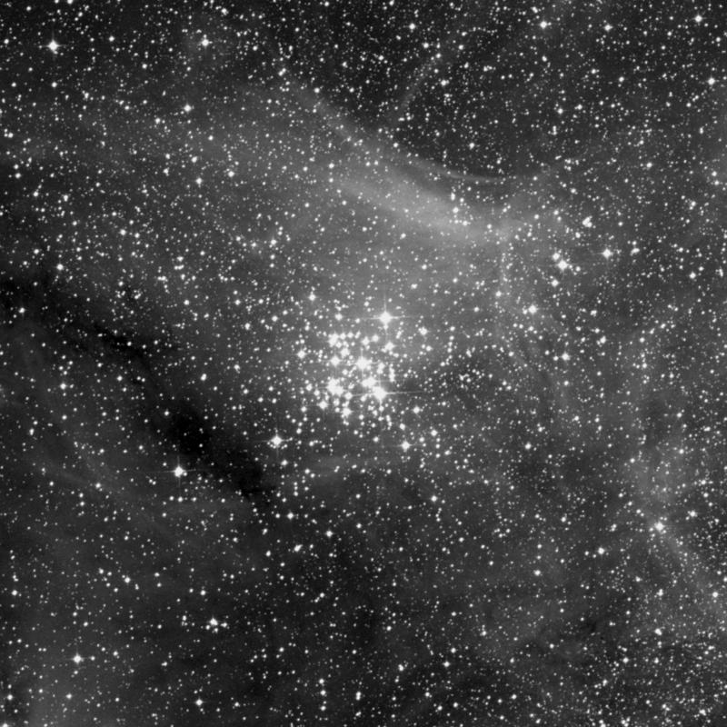 Image of NGC 3293 - Open Cluster in Carina star