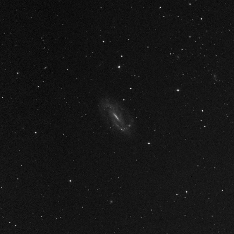 Image of NGC 3319 -  Galaxy in Ursa Major star