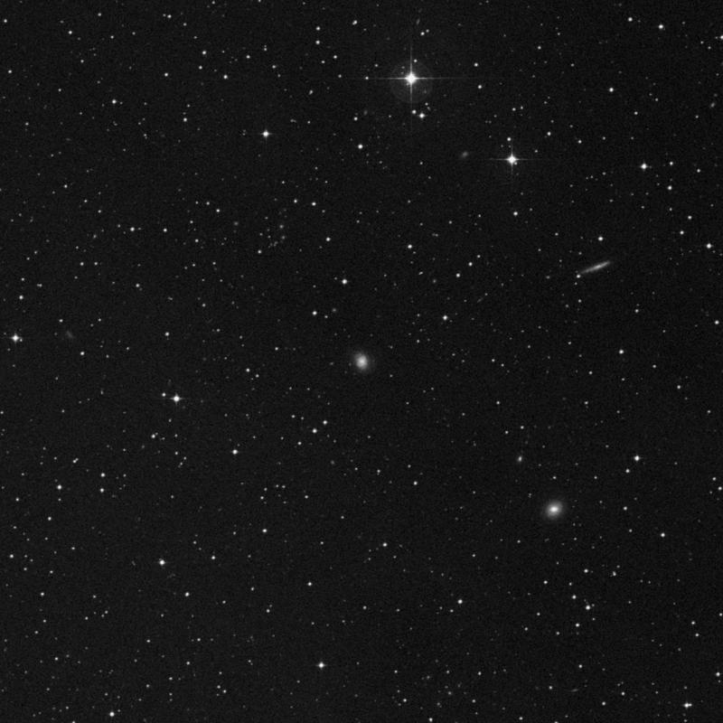 Image of NGC 3331 - Galaxy in Hydra star