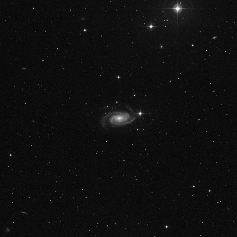 Image of NGC 3338 - Spiral Galaxy in Leo star