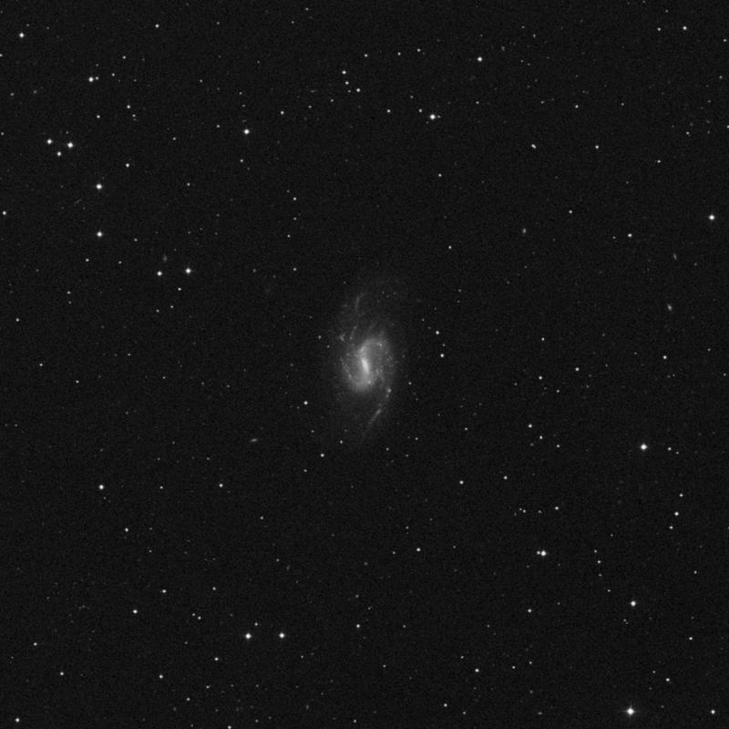 Image of NGC 3359 - Spiral Galaxy in Ursa Major star