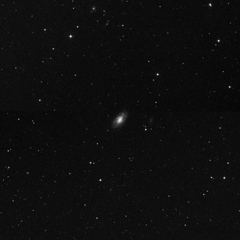Image of NGC 3370 - Intermediate Spiral Galaxy in Leo star