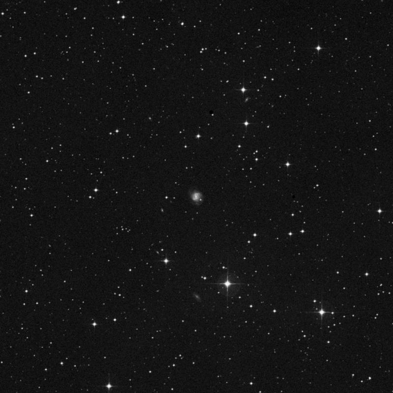 Image of NGC 3383 - Barred Spiral Galaxy in Hydra star