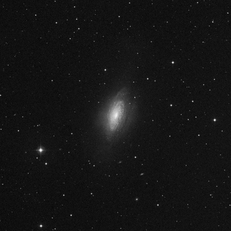 Image of NGC 3521 - Intermediate Spiral Galaxy in Leo star