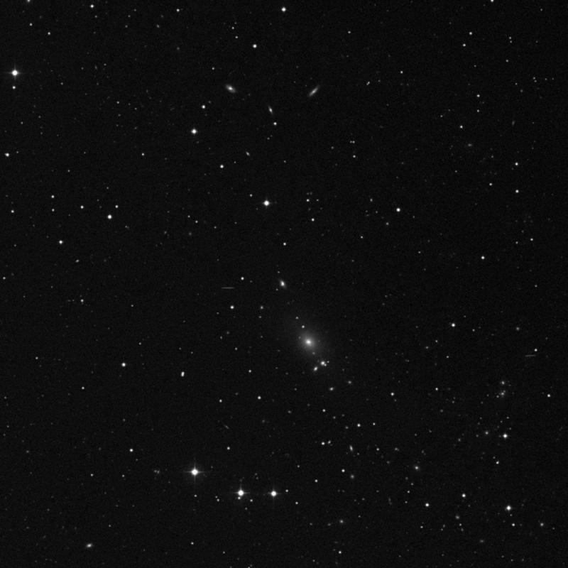 Image of NGC 3555 - Elliptical Galaxy in Leo star