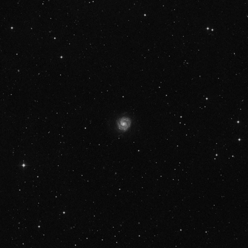 Image of NGC 3596 - Intermediate Spiral Galaxy in Leo star