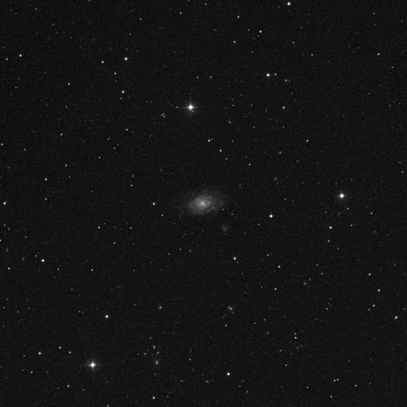 Image of NGC 3614 - Intermediate Spiral Galaxy in Ursa Major star