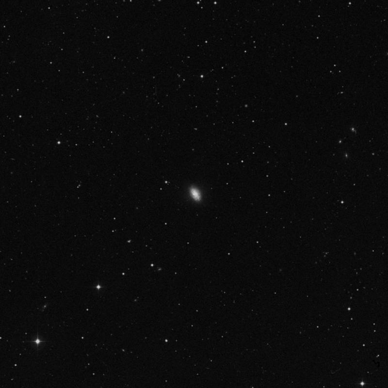 Image of NGC 3655 - Spiral Galaxy in Leo star