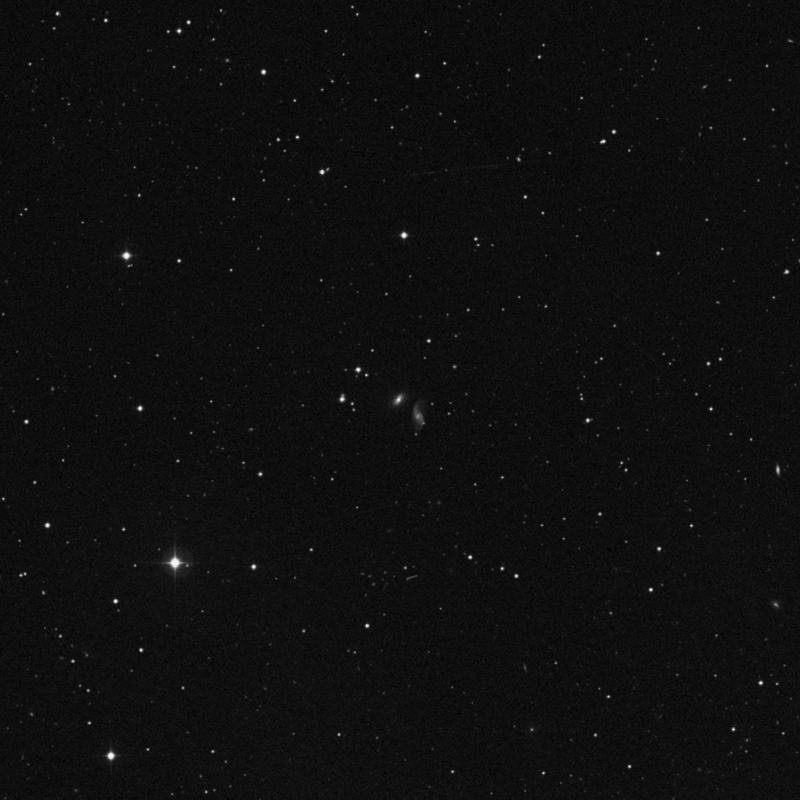 Image of NGC 3685 - Elliptical Galaxy in Leo star