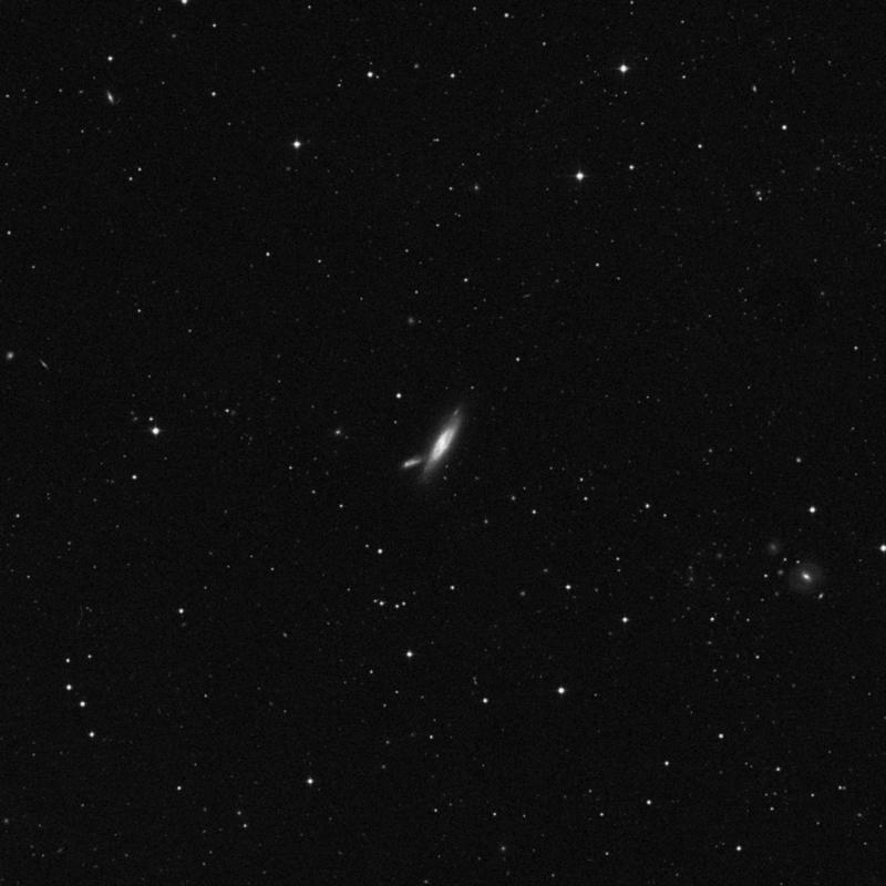 Image of NGC 3769 - Spiral Galaxy in Ursa Major star