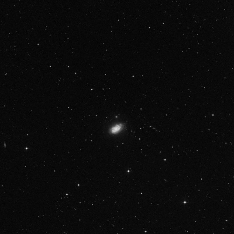 Image of NGC 3950 - Elliptical Galaxy in Ursa Major star