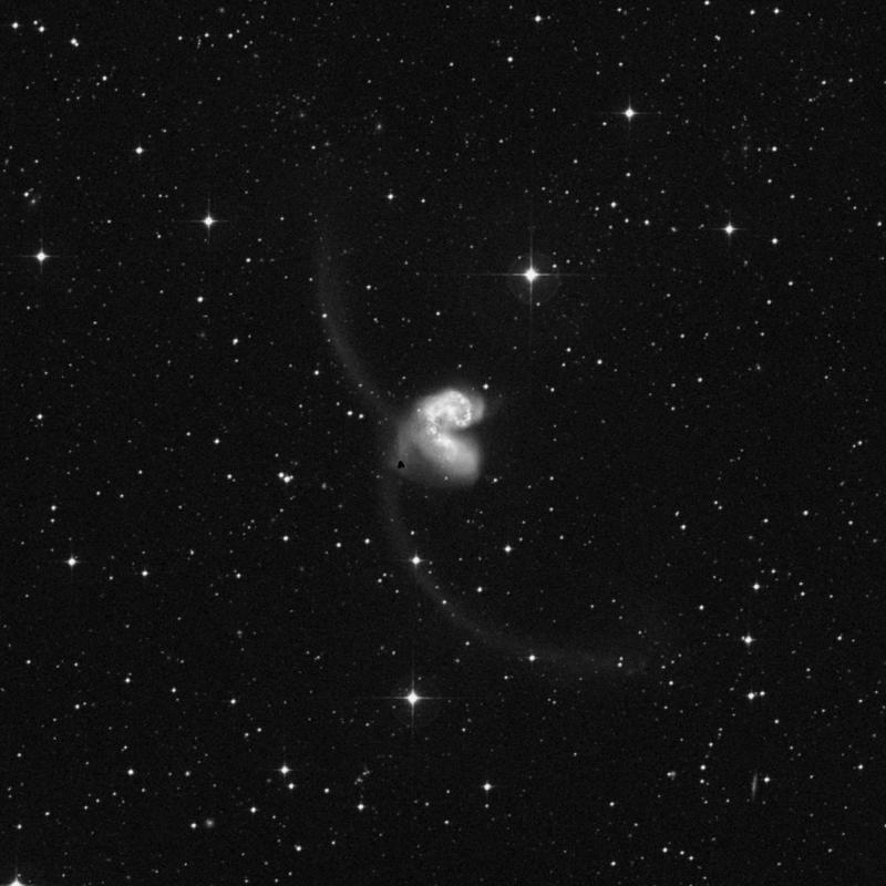 Image of NGC 4039 (Antennae Galaxies) - Barred Spiral Galaxy in Corvus star