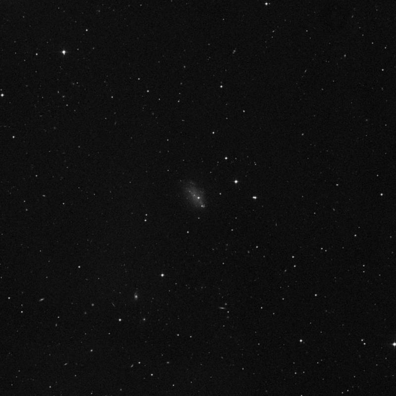 Image of NGC 4068 - Irregular Galaxy in Ursa Major star