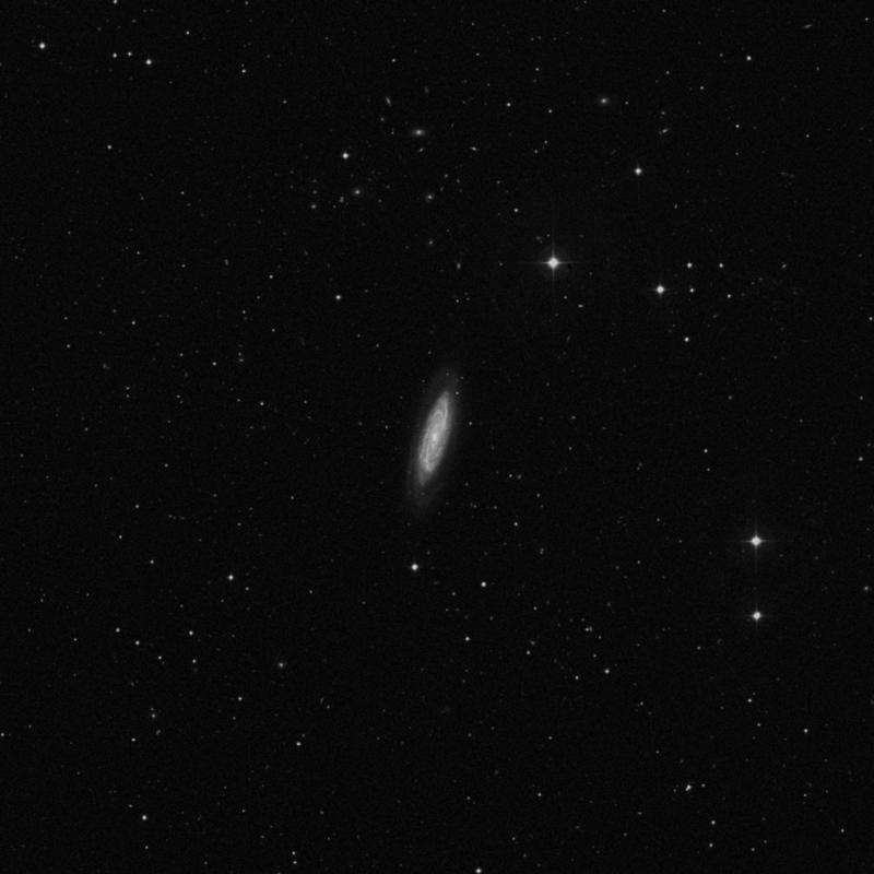Image of NGC 4100 - Spiral Galaxy in Ursa Major star