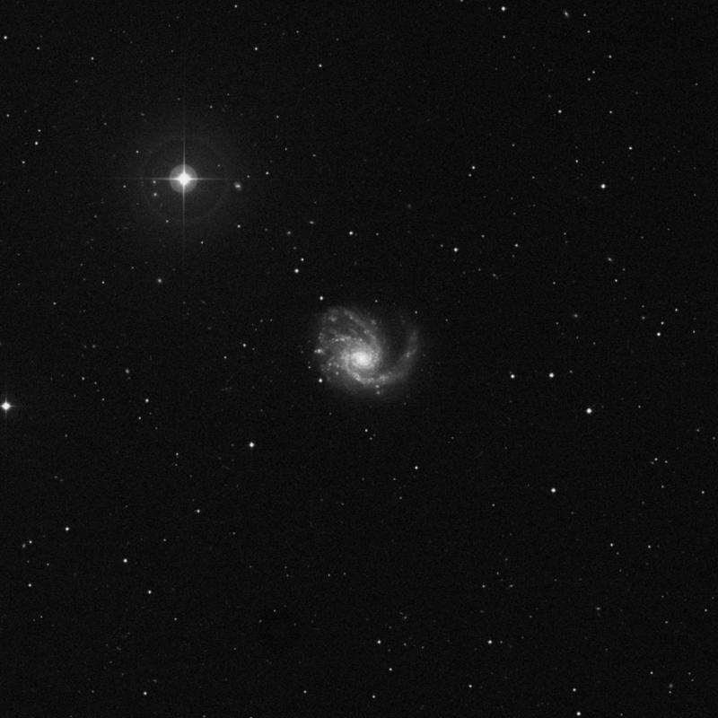 Image of Messier 99 (Coma Pinwheel) - Spiral Galaxy in Coma Berenices star