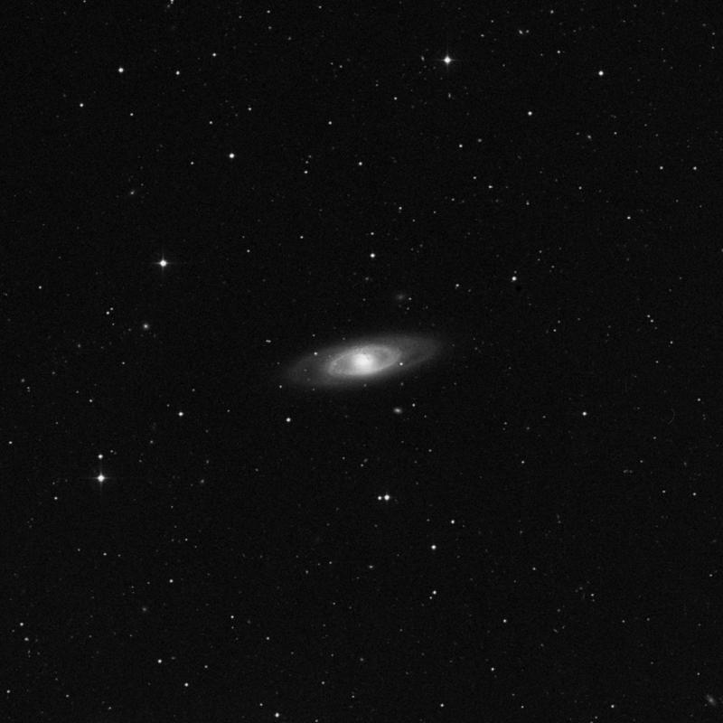 Image of NGC 4274 - Barred Spiral Galaxy in Coma Berenices star
