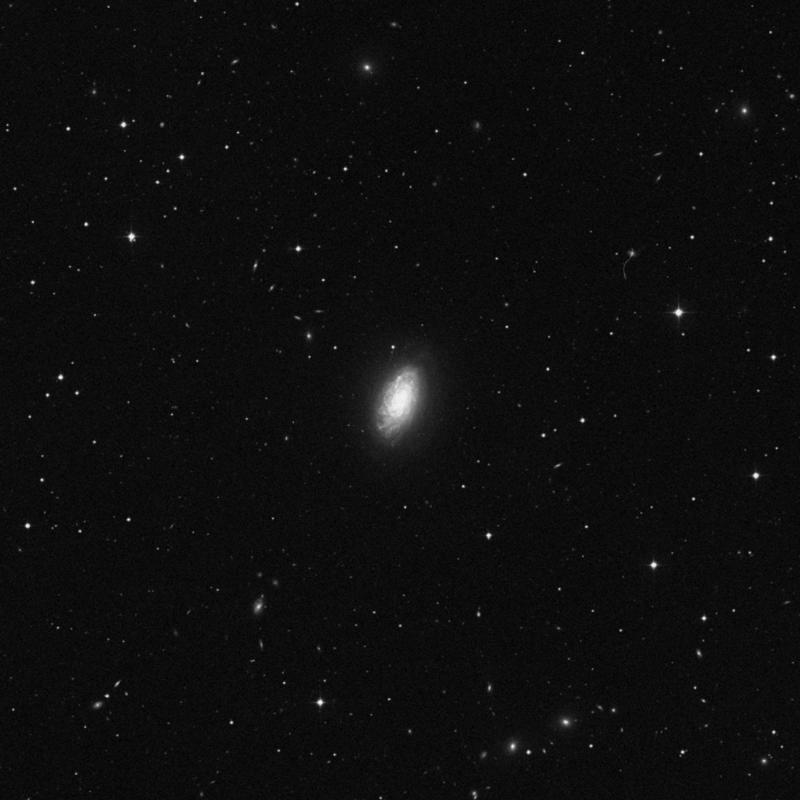 Image of NGC 4414 - Spiral Galaxy in Coma Berenices star