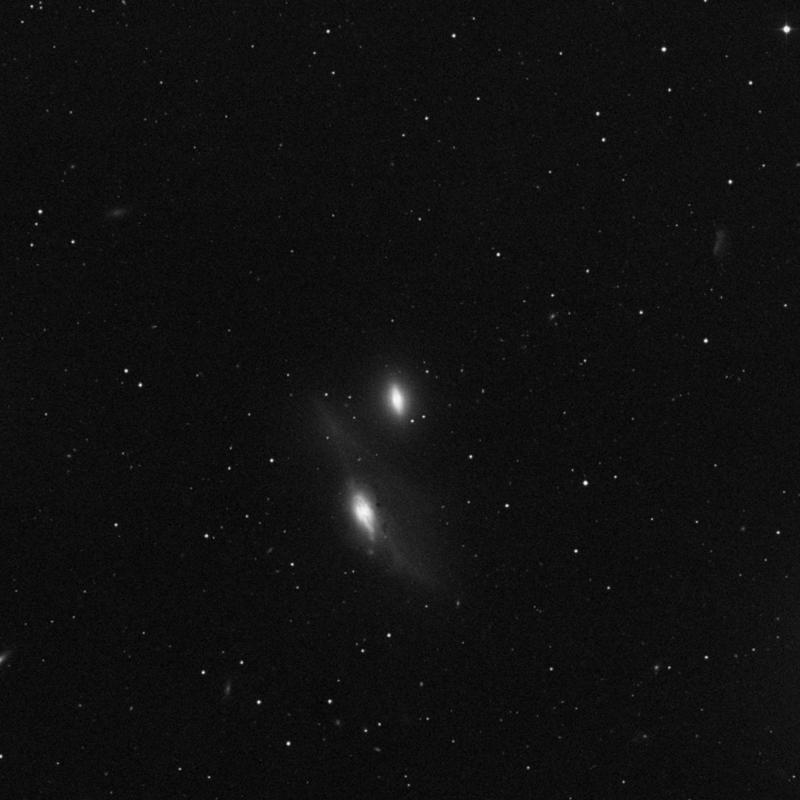 Image of NGC 4435 - Lenticular Galaxy in Virgo star