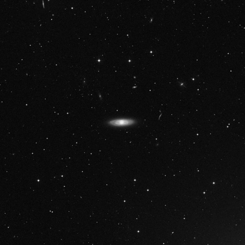 Image of NGC 4448 - Barred Spiral Galaxy in Coma Berenices star