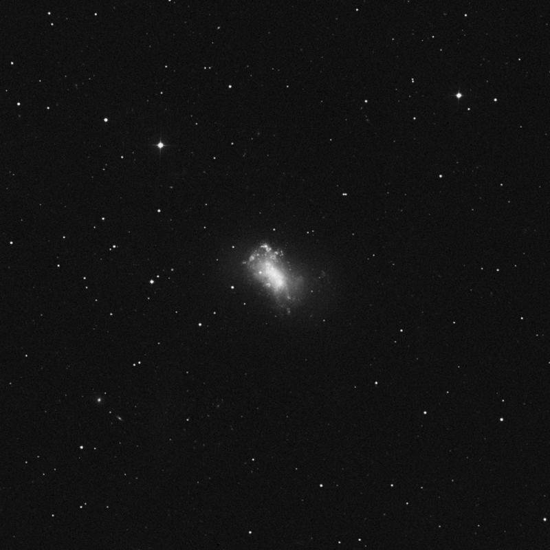 Image of NGC 4449 - Irregular Galaxy in Canes Venatici star