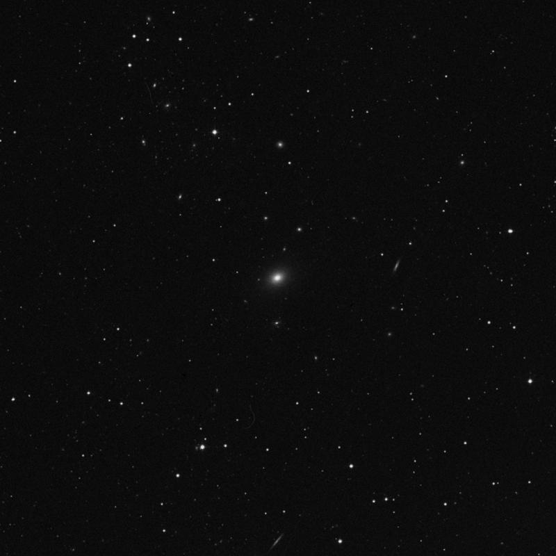 Image of NGC 4555 - Elliptical Galaxy in Coma Berenices star
