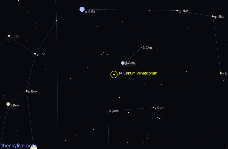 Finder chart 14 Canum Venaticorum star