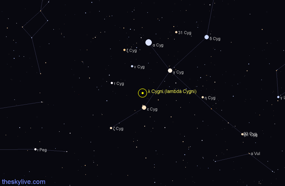 Finder chart λ Cygni (lambda Cygni) star