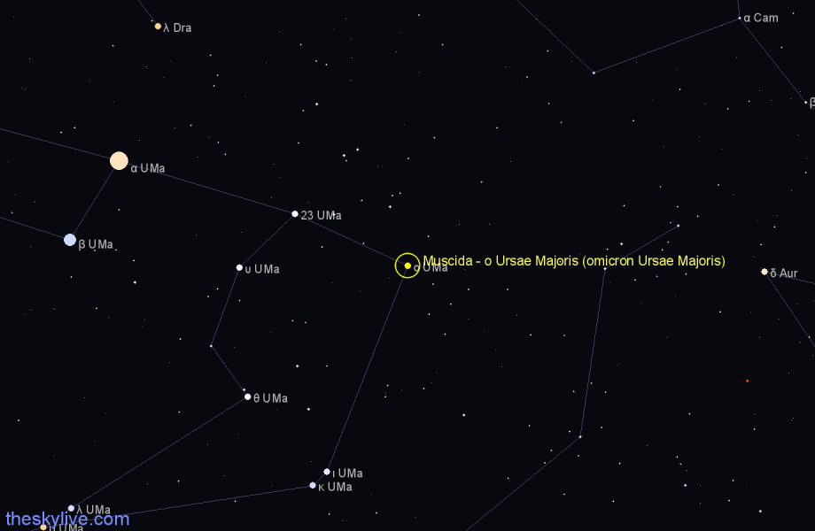 Finder chart Muscida - ο Ursae Majoris (omicron Ursae Majoris) star