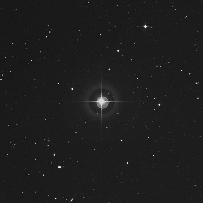 Image of HR31 star