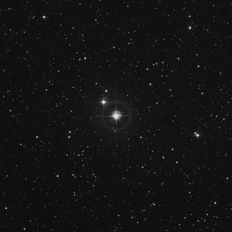Image of HR36 star