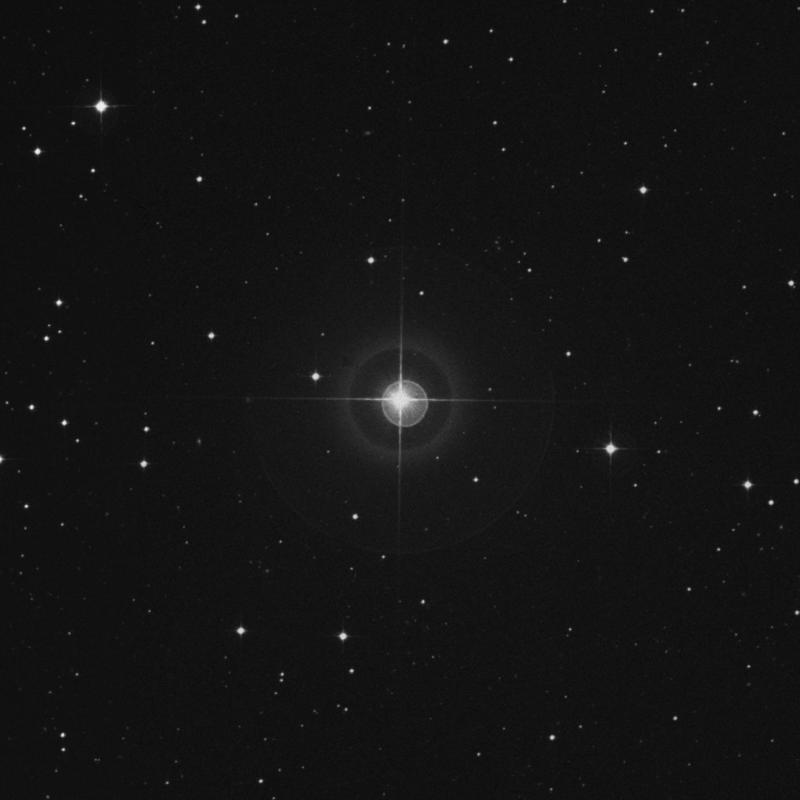 Image of HR37 star