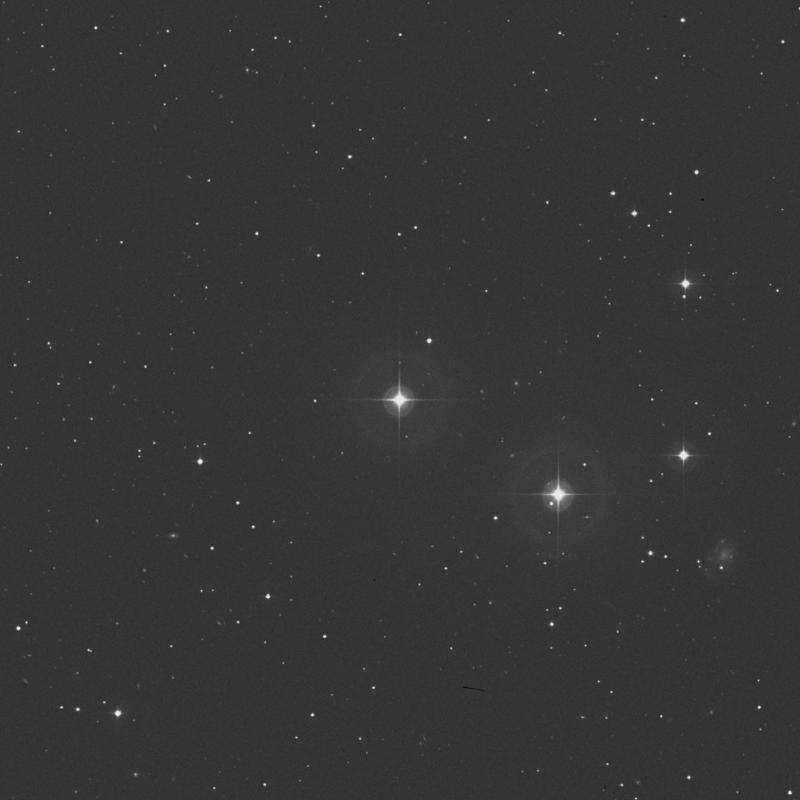 Image of HR81 star