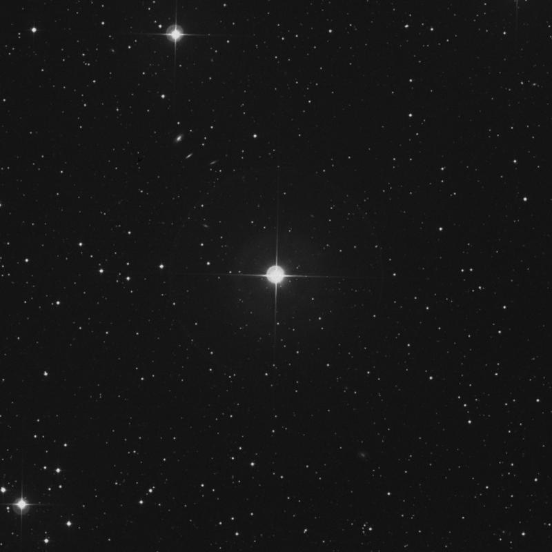 Image of ρ Andromedae (rho Andromedae) star