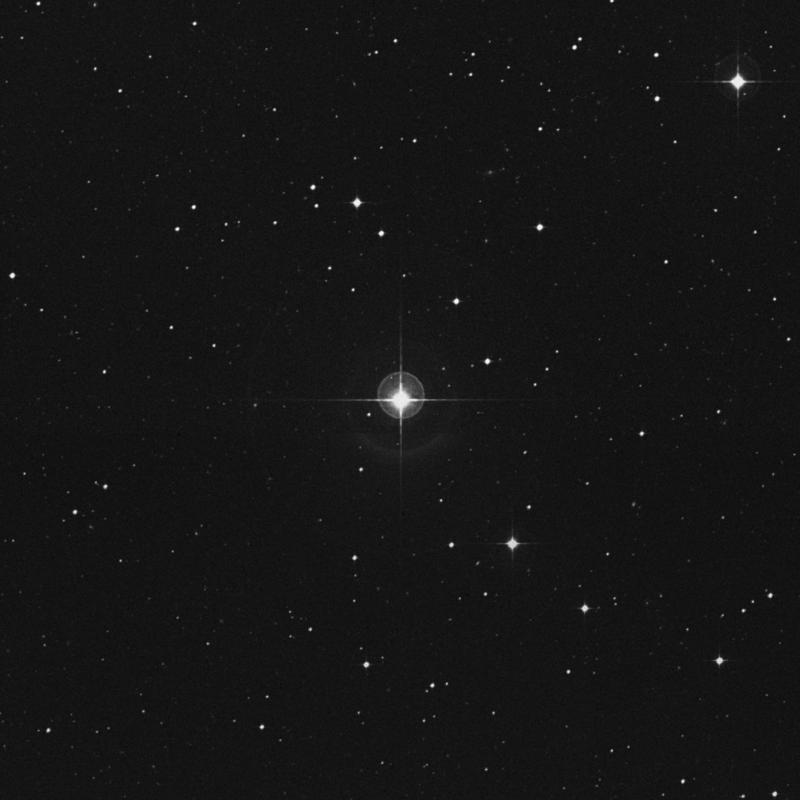 Image of 9 Ceti star