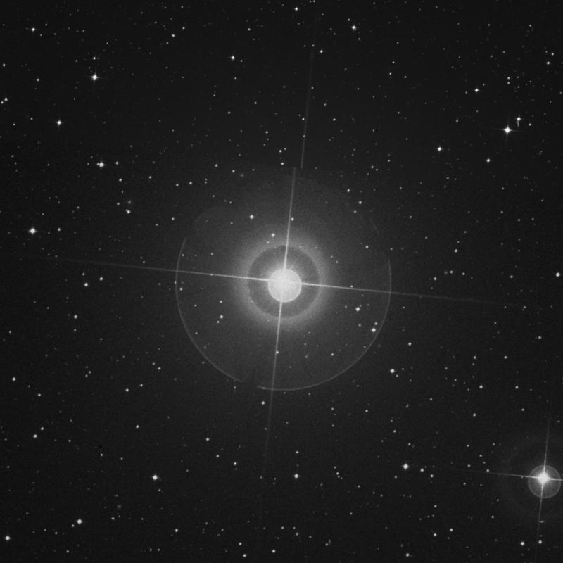 Image of β Hydri (beta Hydri) star