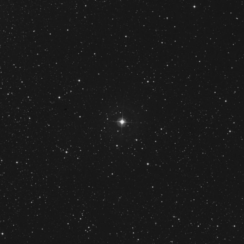 Cassiopeiae Cassiopeiae