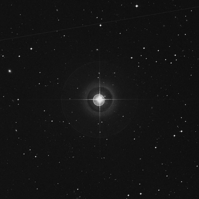 Image of 13 Ceti star