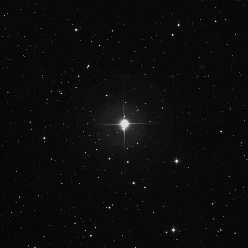 Image of π Andromedae (pi Andromedae) star