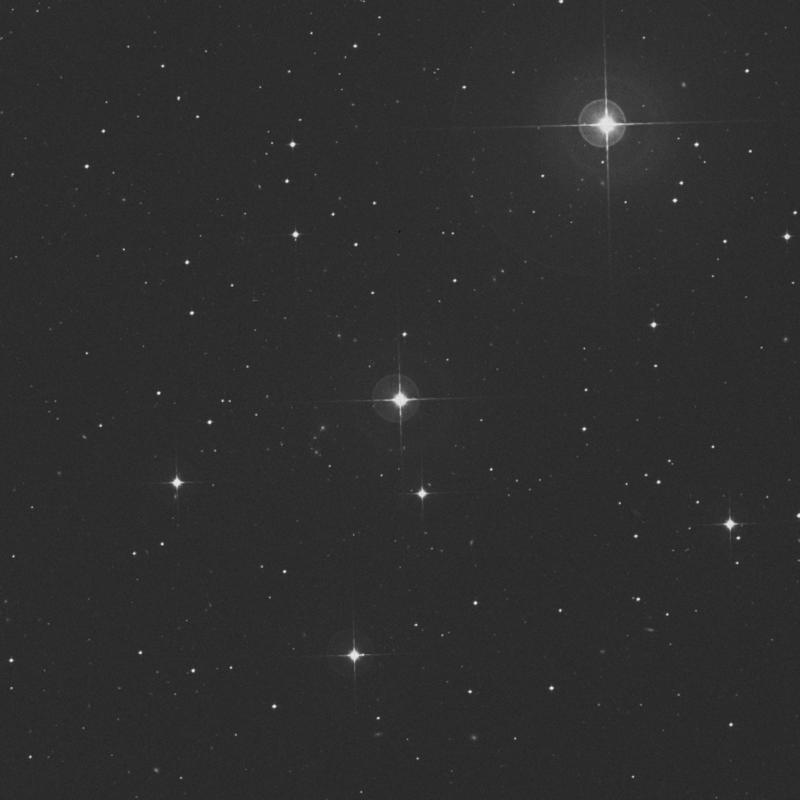 Image of χ3 Fornacis (chi3 Fornacis) star