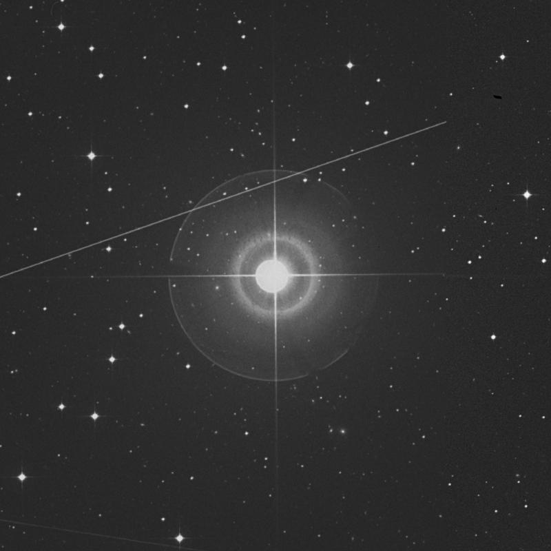 Image of Ran - ε Eridani (epsilon Eridani) star