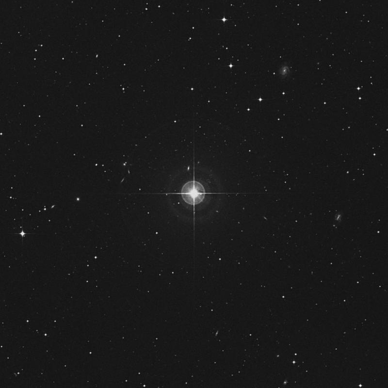 Image of 21 Eridani star