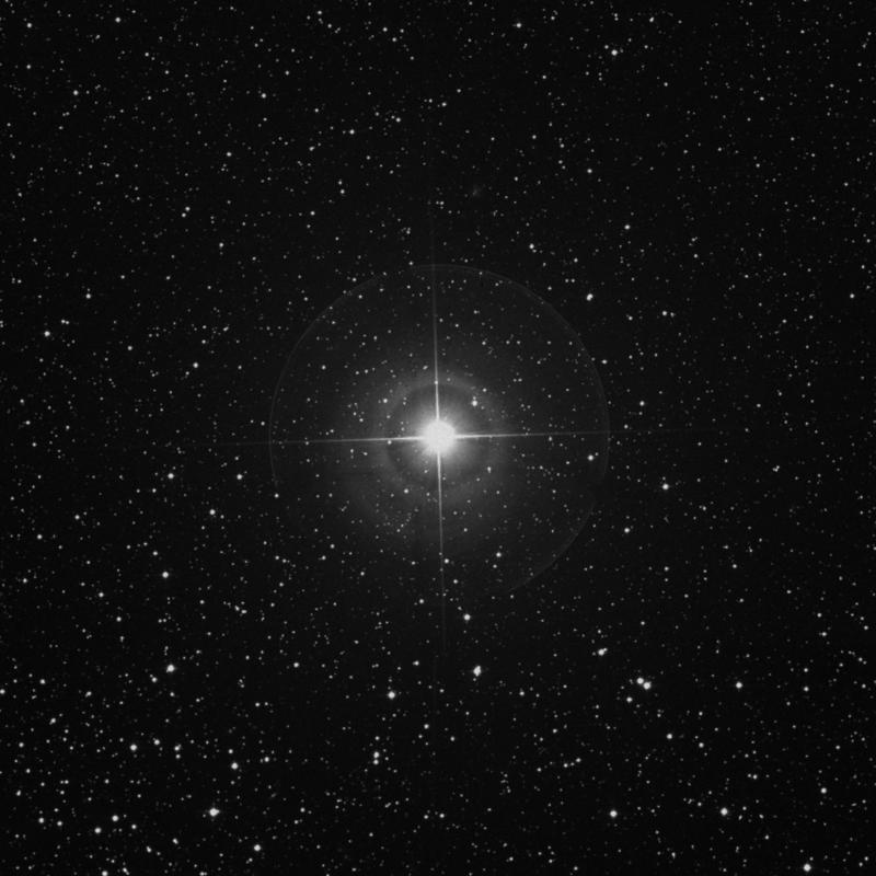 Image of δ Persei (delta Persei) star