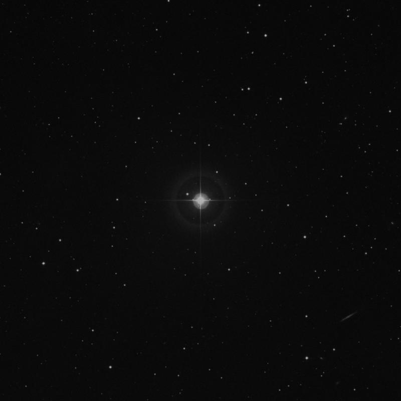 Image of 29 Tauri star