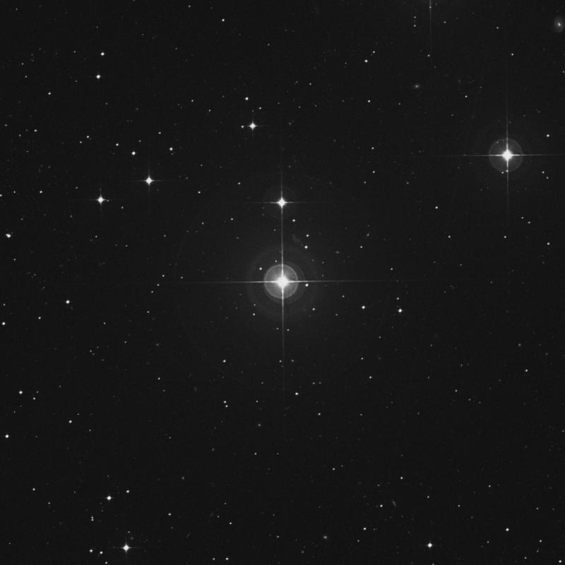 Image of ρ Fornacis (rho Fornacis) star