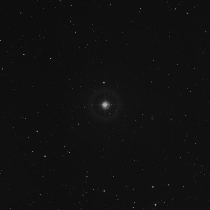 Image of 31 Tauri star